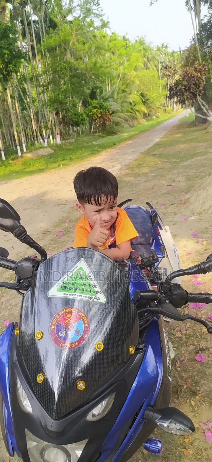 বাজাজ পালসার এনএস ১৬০ ২০১৭ ব্লু