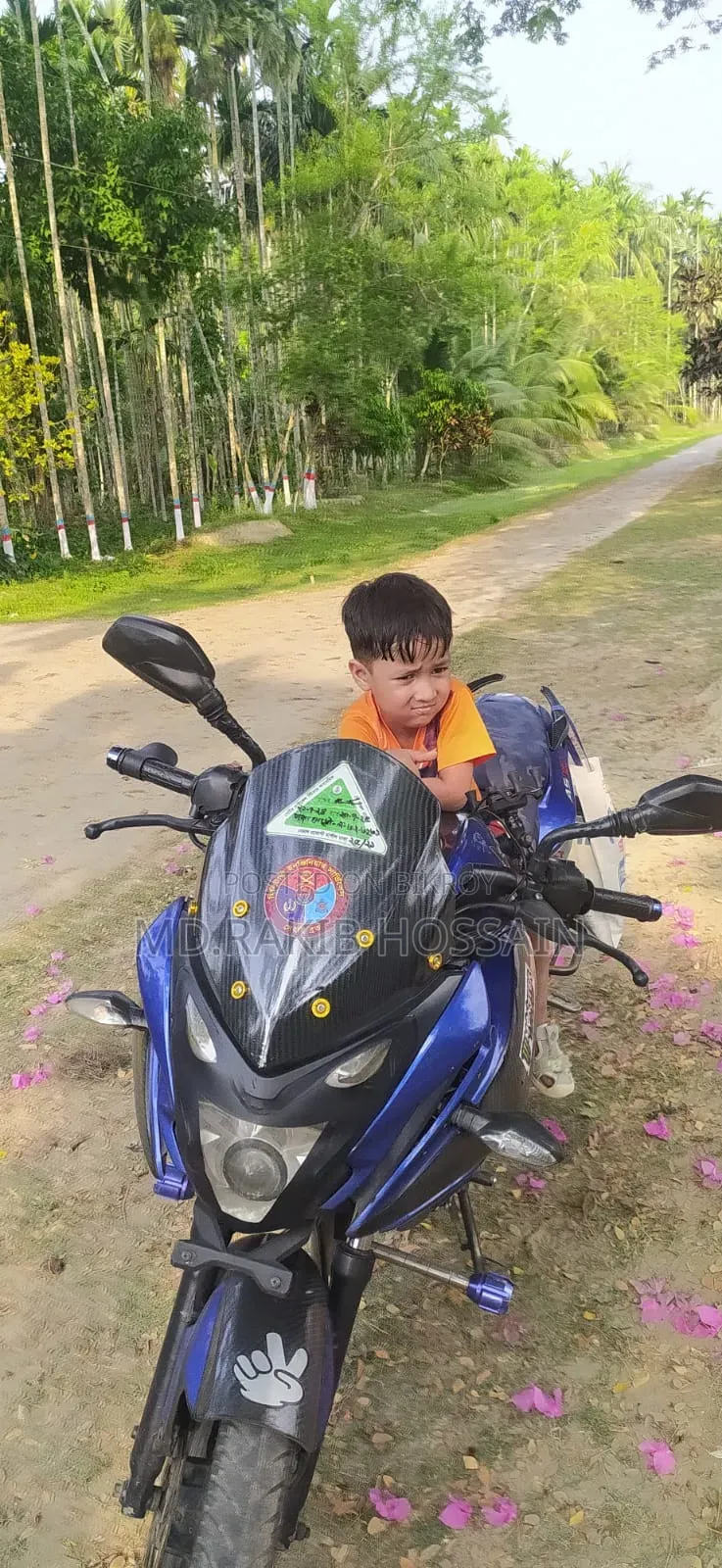 বাজাজ পালসার এনএস ১৬০ ২০১৭ ব্লু