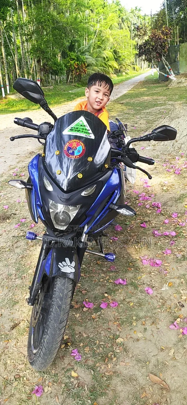 বাজাজ পালসার এনএস ১৬০ ২০১৭ ব্লু