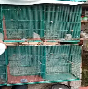 কবুতরের খাঁচা
