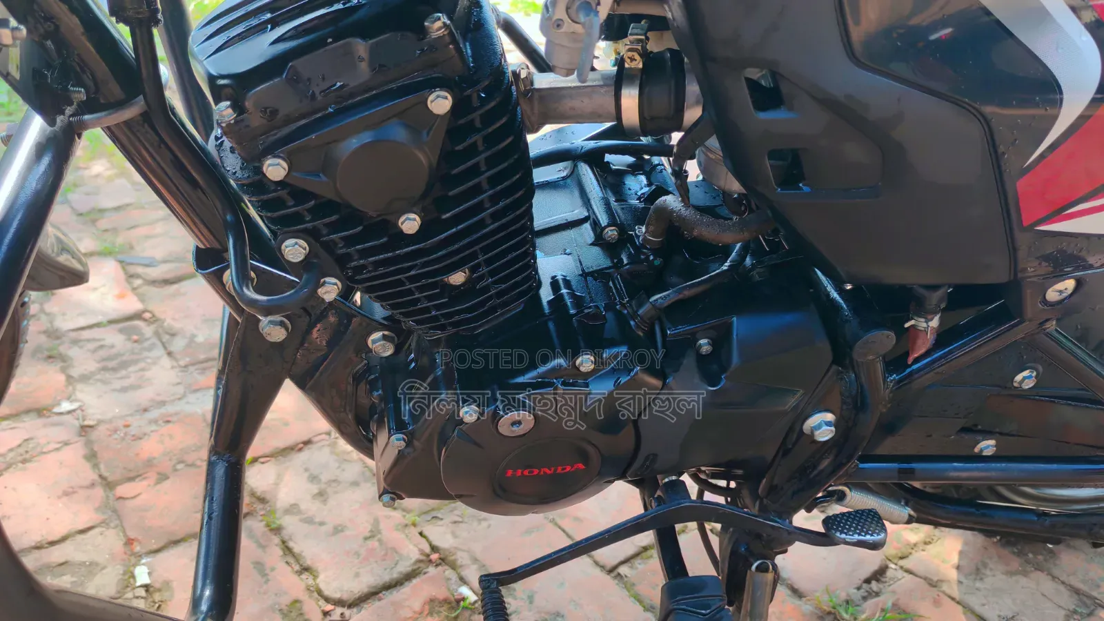 Honda 2025 Black