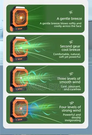Solar Electric Fan + Light
