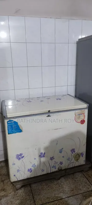 Walton 205 Liter Deep Freeze