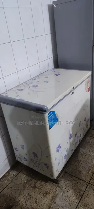 Walton 205 Liter Deep Freeze