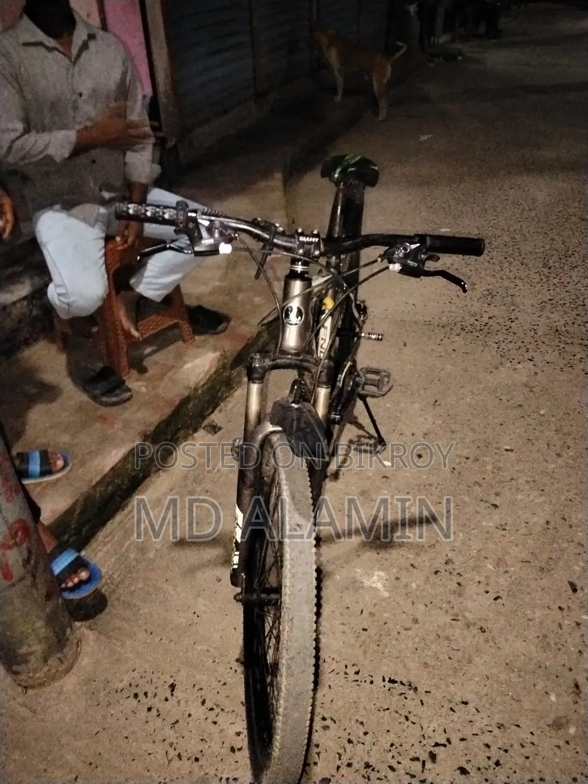 Bicycle for sale