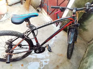 Seventyone Cycle