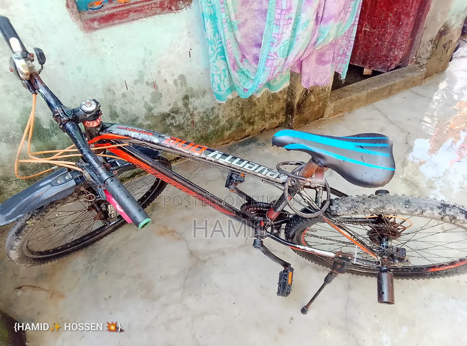 Seventyone Cycle