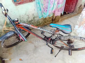 Seventyone Cycle