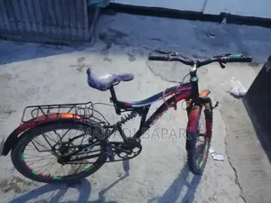 Selling Gear Cycle Vivo, the cycle is in fairly good condition