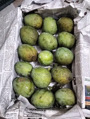 দশ কেজি আম ।