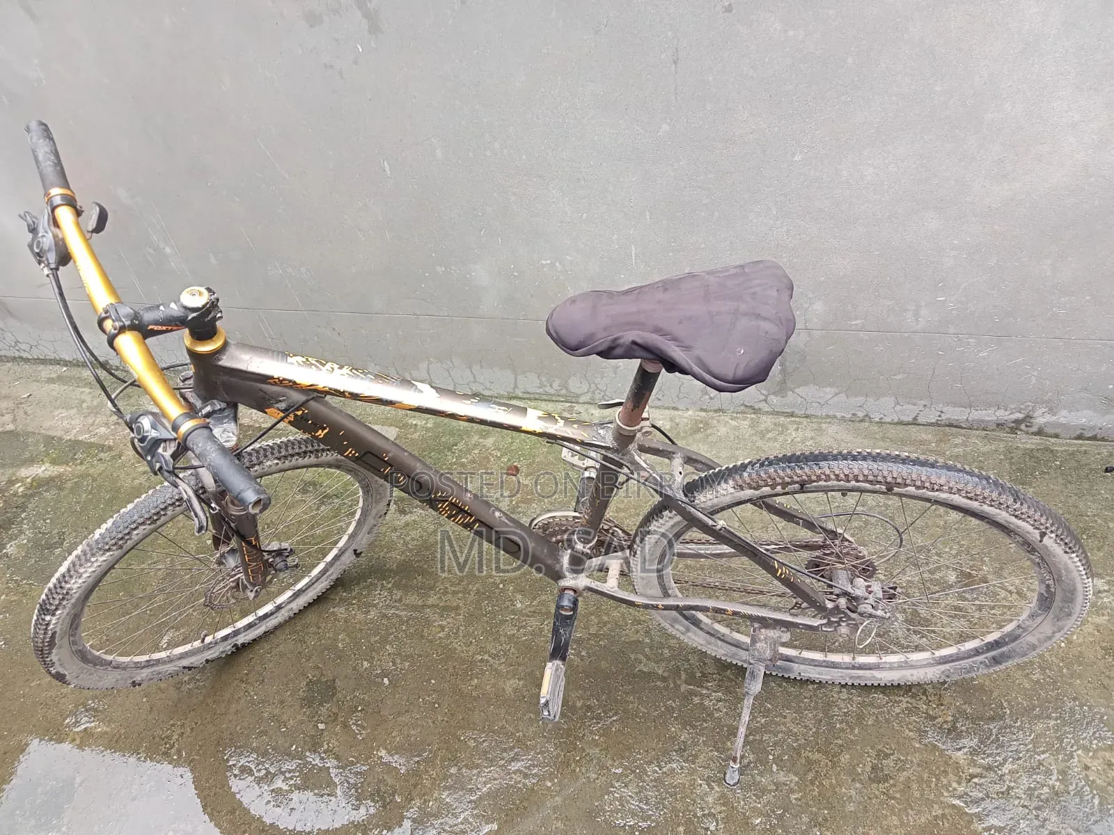 Cycle Gear Cycle