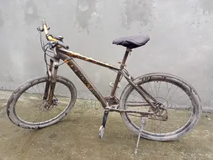 Cycle Gear Cycle