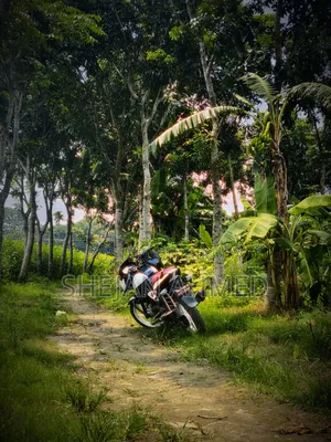 Bajaj Pulsar 150 2018 Black