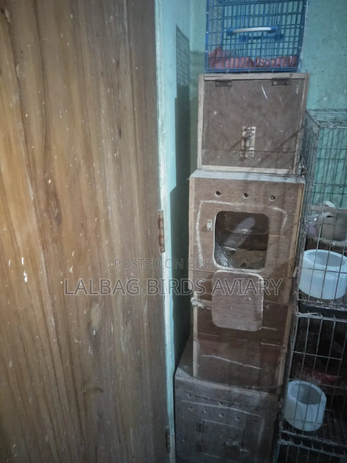 Breeding Box Sell Hobe.