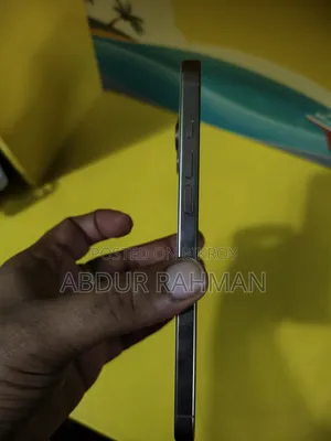 অ্যাপল আইফোন ১৬ প্রো ম্যাক্স ২৫৬ জিবি রোজ গোল্ড