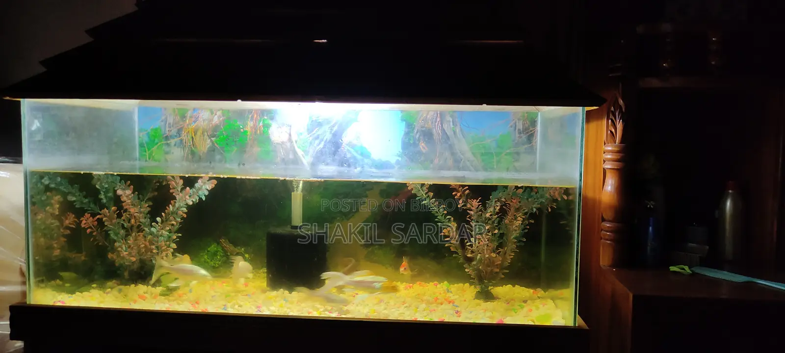 একোরিয়াম 3 ফিট 4এমএম উপরে 6এমএম নিচে