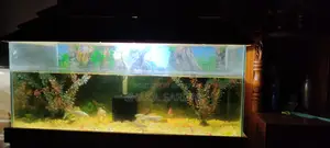 একোরিয়াম 3 ফিট 4এমএম উপরে 6এমএম নিচে