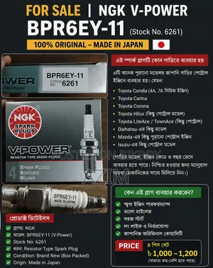 Spark Plug