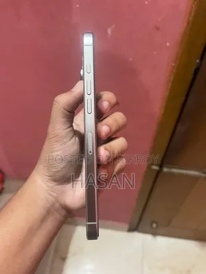 Apple iPhone 16 Pro Max 256 GB Gray