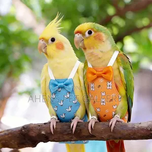 Bird Cloth Diaper