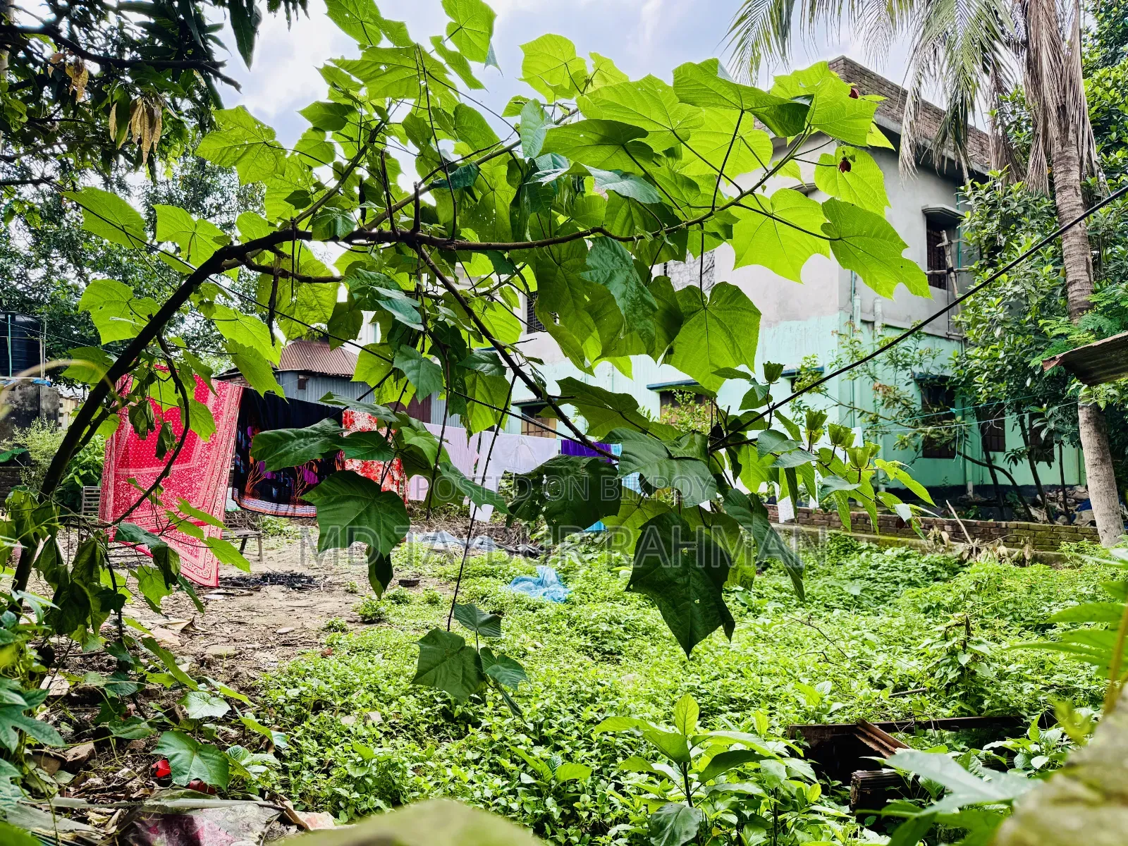 জমিটি বিক্রি করা হবে। ধামরাই পৌরসভার উত্তর পাশে ৪নং ওয়ার্ড ৬ নাম্বার।