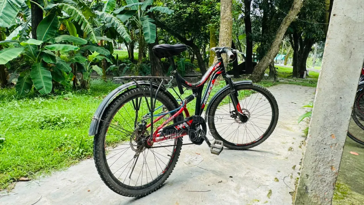 Bicycle for sale