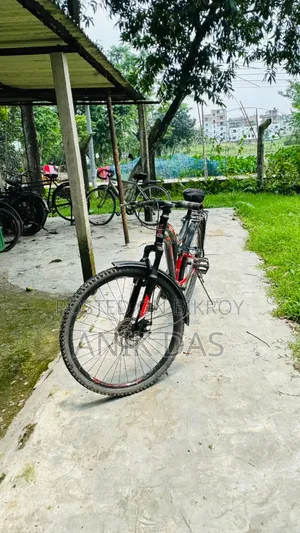 Bicycle for sale