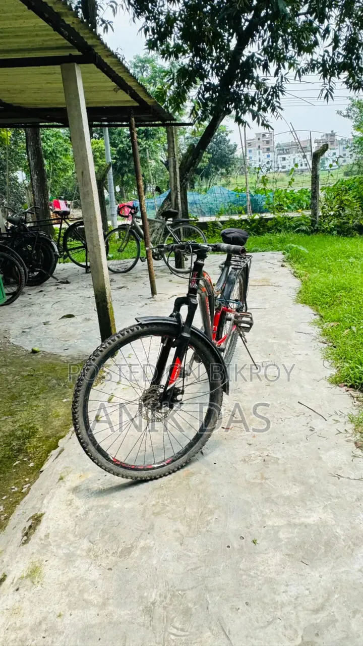 Bicycle for sale