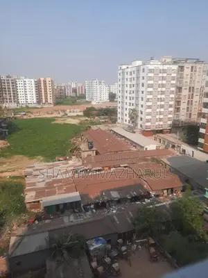Shamim's Land