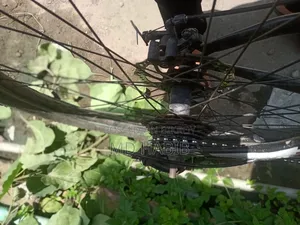 27" Gear Cycle