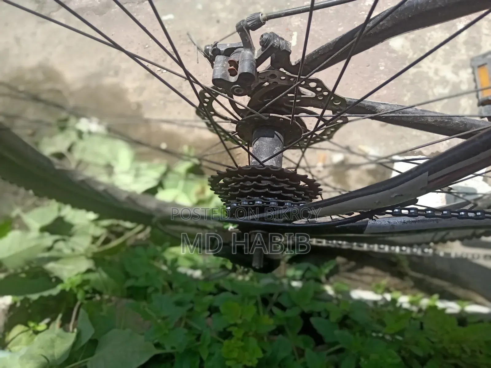 27" Gear Cycle