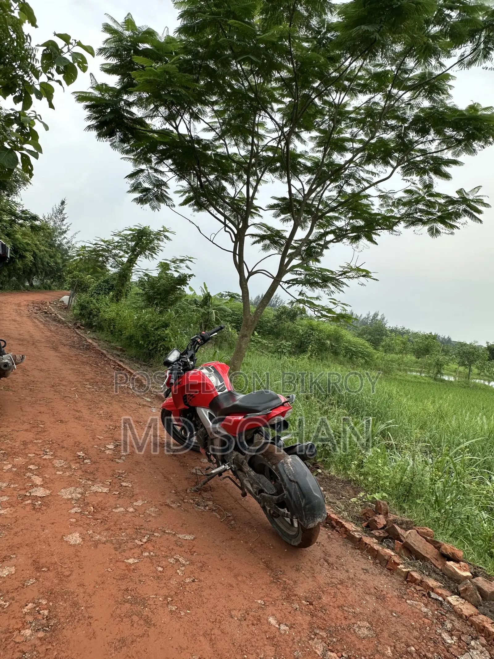 TVS Apache 160 4V 2020 Red