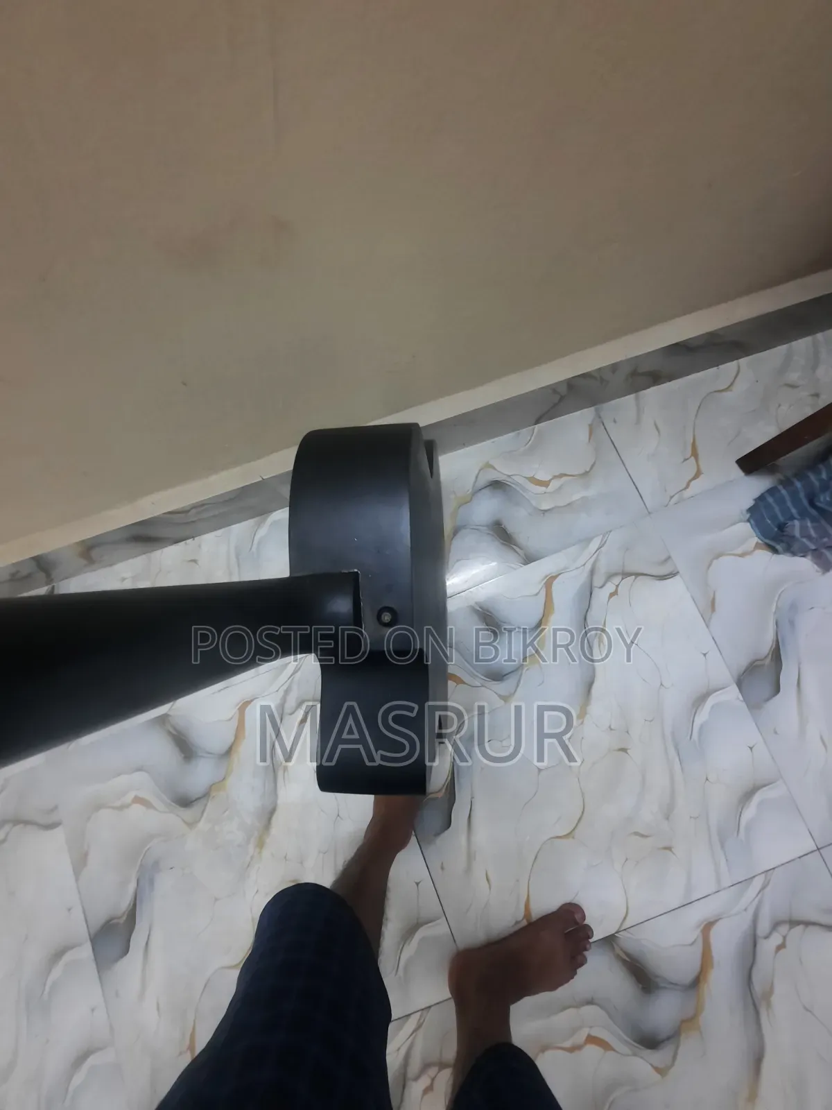 Signature Roghu Series Acoustic Guitar (Original)
