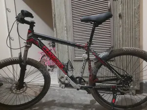 ফিনিক্স কাস্টম সাইকেল