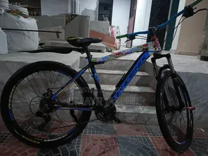 Phoenix Mountainbike 2.0 MTB