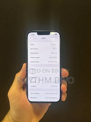 Apple iPhone 13 Pro 256 GB Gray