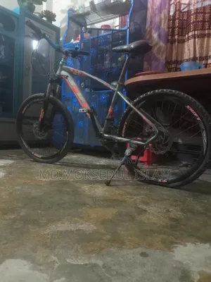 I will sell the bicycle