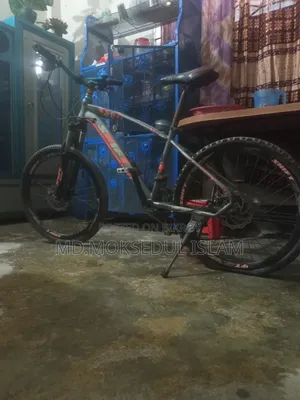 I will sell the bicycle