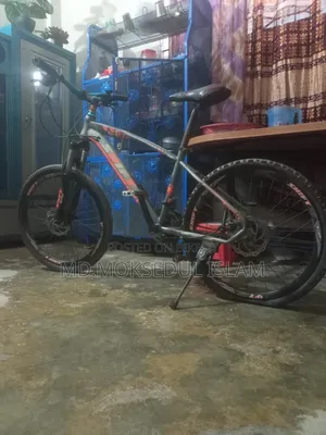 I will sell the bicycle