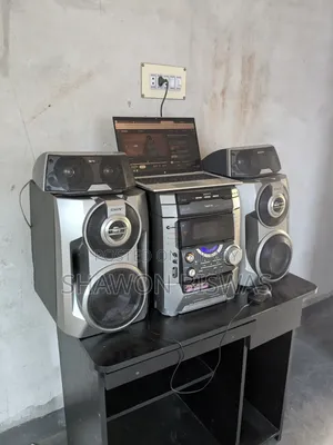 Sony Vx77 Sound System