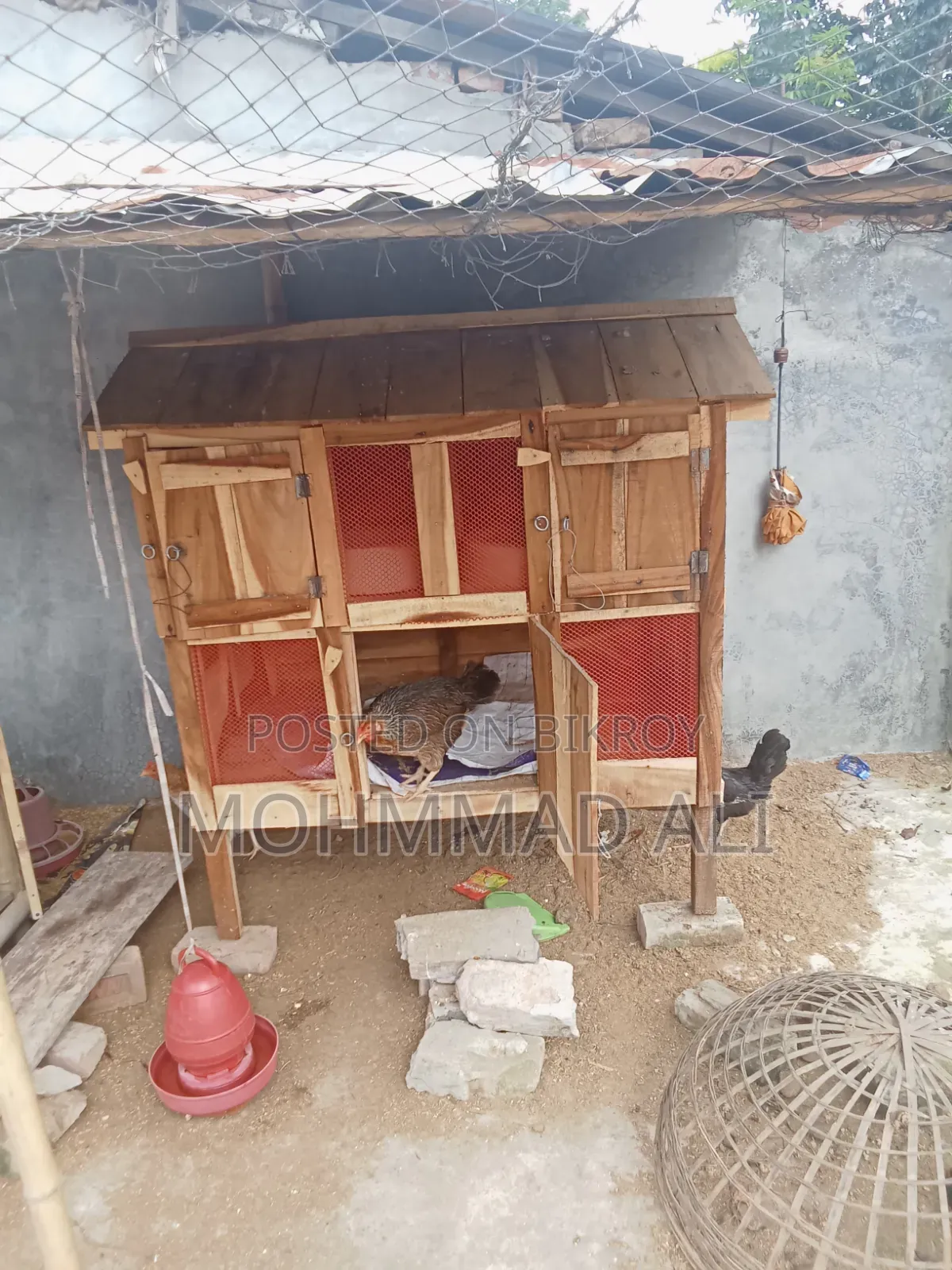 Chicken Coop