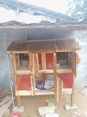 Chicken Coop