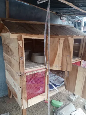 Chicken Coop