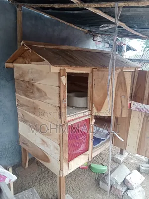 Chicken Coop