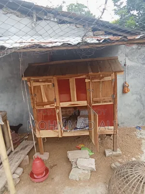 Chicken Coop