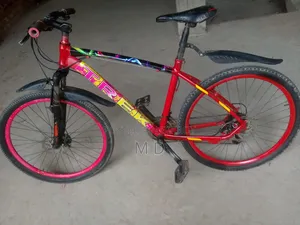 Aluminum Body Gear Cycle, Price Fixed