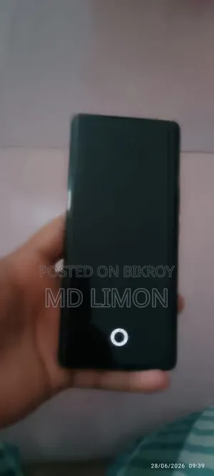 Vivo V29 256 GB
