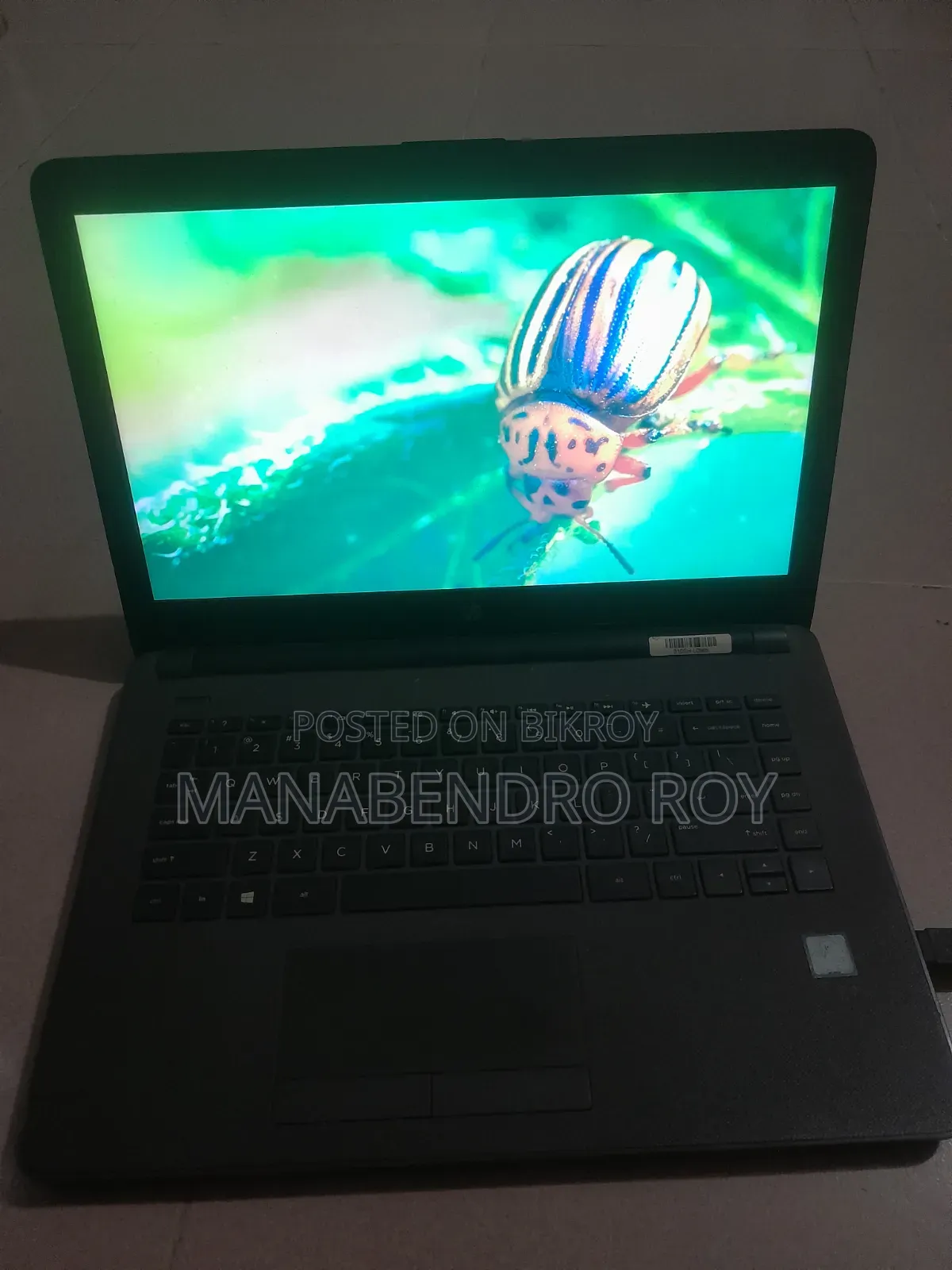 Laptop HP 4GB Intel Core I3 HDD+SSD 256GB