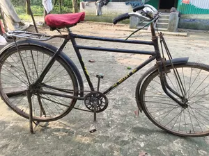 Phoenix Bicycle