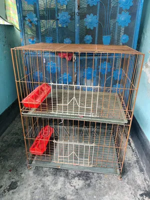 Bird or chicken cage
